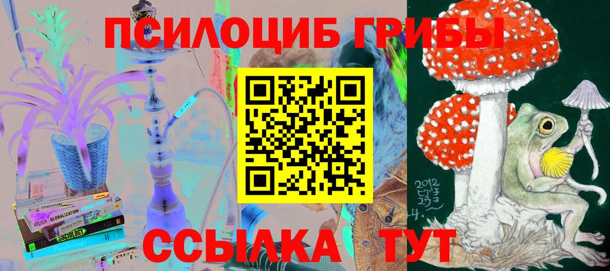 как найти закладки  Вход с VPN  Видное  Псилоцибиновые грибы Psilocybe 